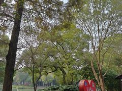 -西溪国家湿地公园