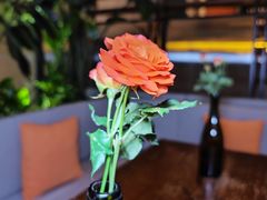 -Laures·月桂西班牙碳烤餐厅(十尚坊店)