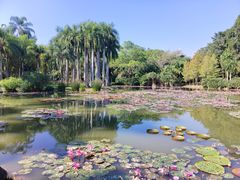 -中国科学院西双版纳热带植物园