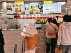经典豆乳冰淇淋-维维豆奶(金鹰新街口店)