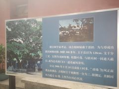 -闽粤南澳总镇府