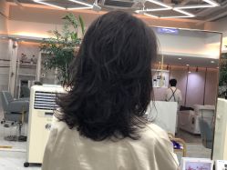 -秦·专注剪发