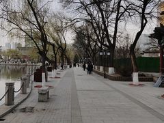-文瀛公园