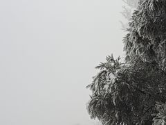 -萍乡武功山风景名胜区