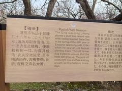 -香雪海