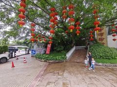 -盆满钵满·国家非遗传承(云台店)