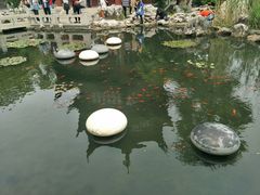 -同里国家湿地公园