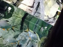 -重庆欢乐海底世界