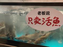 -鱼酷活鱼烤鱼(静安大融城店)