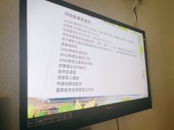 点击看大图 -薇薇安花系SPA