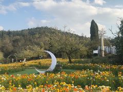 -名花谷生态庄园