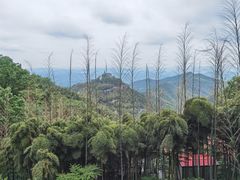 -莫干山风景区