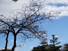 -名古屋城