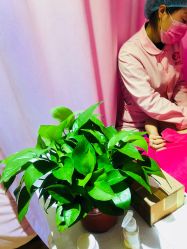 -涌泉妈咪树通乳·产后恢复