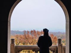 -灵谷景区