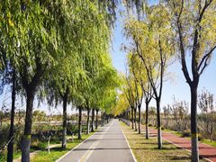 -永定河休闲森林公园