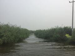 -白洋淀景区