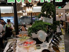 -洪氏嗨捞·猪肚鸡火锅(阳光天地店)