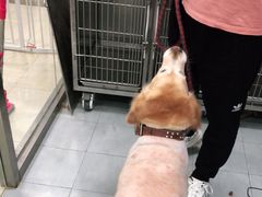 -宠福鑫康馨动物医院·骨科·眼科