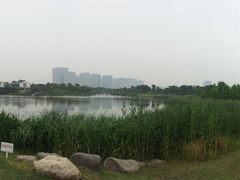 -尚贤河湿地