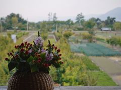 -翠田Green Field Kitchen