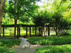 -徐家汇源景区-衡山公园