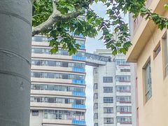 -Apollo·西班牙小酒馆(安福路店)