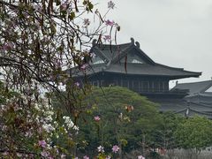 -海珠湖公园