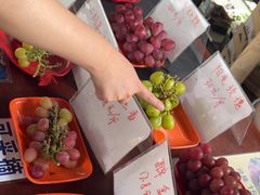 -马陆小张葡萄园农家乐