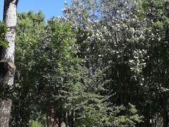 -清华大学-清芬园