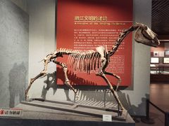 -齐齐哈尔市博物馆