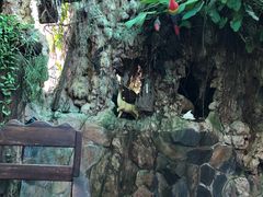 -自然餐厅(Phuket)