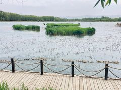 -野鸭湖国家湿地公园