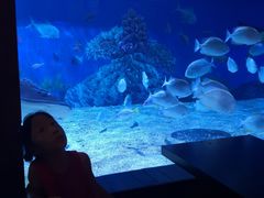 -成都浩海立方海洋公园