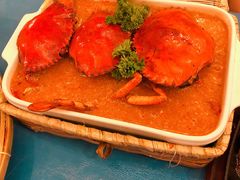 -茉莉.Red Crab