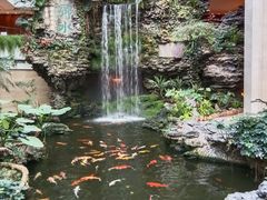 -广州白天鹅宾馆