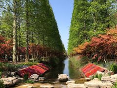 -东平国家森林公园