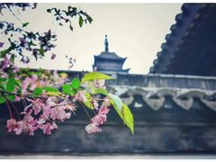 -常熟方塔园