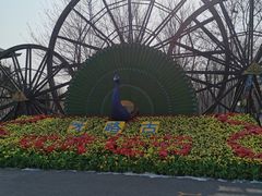 -呀路古热带植物园