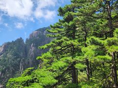 -黄山风景区