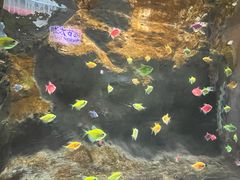 -苏州海洋馆