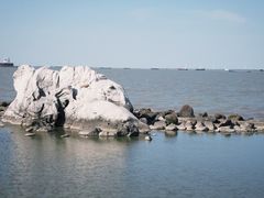 -上海吴淞炮台湾国家湿地公园