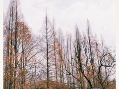 -T80科技文化国际社区-停车场