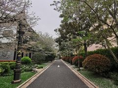 -上海皇廷花园酒店·西餐厅·自助餐