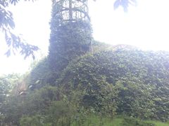 -三鹰之森吉卜力美术馆