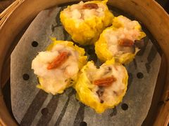 鲜虾烧卖皇-添好运点心专门店(深水埗店)