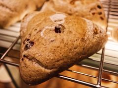 -面包与我Bread Or Me(长城汇店)