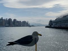 -海港城