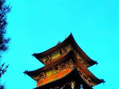 -迎泽公园