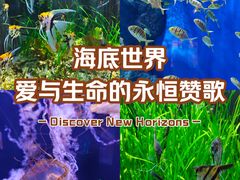 -成都浩海立方海洋公园